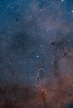 The Elephant's Trunk Nebula