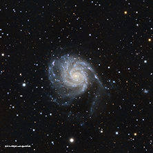 M101 - The Pinwheel galaxy