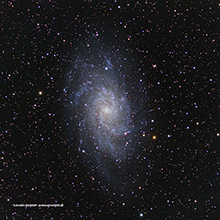 M33 - The Triangulum Galaxy